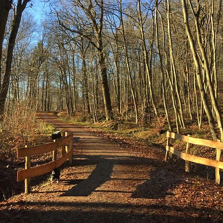 Apartmán Waldmuehle Šlesvik Exteriér fotografie