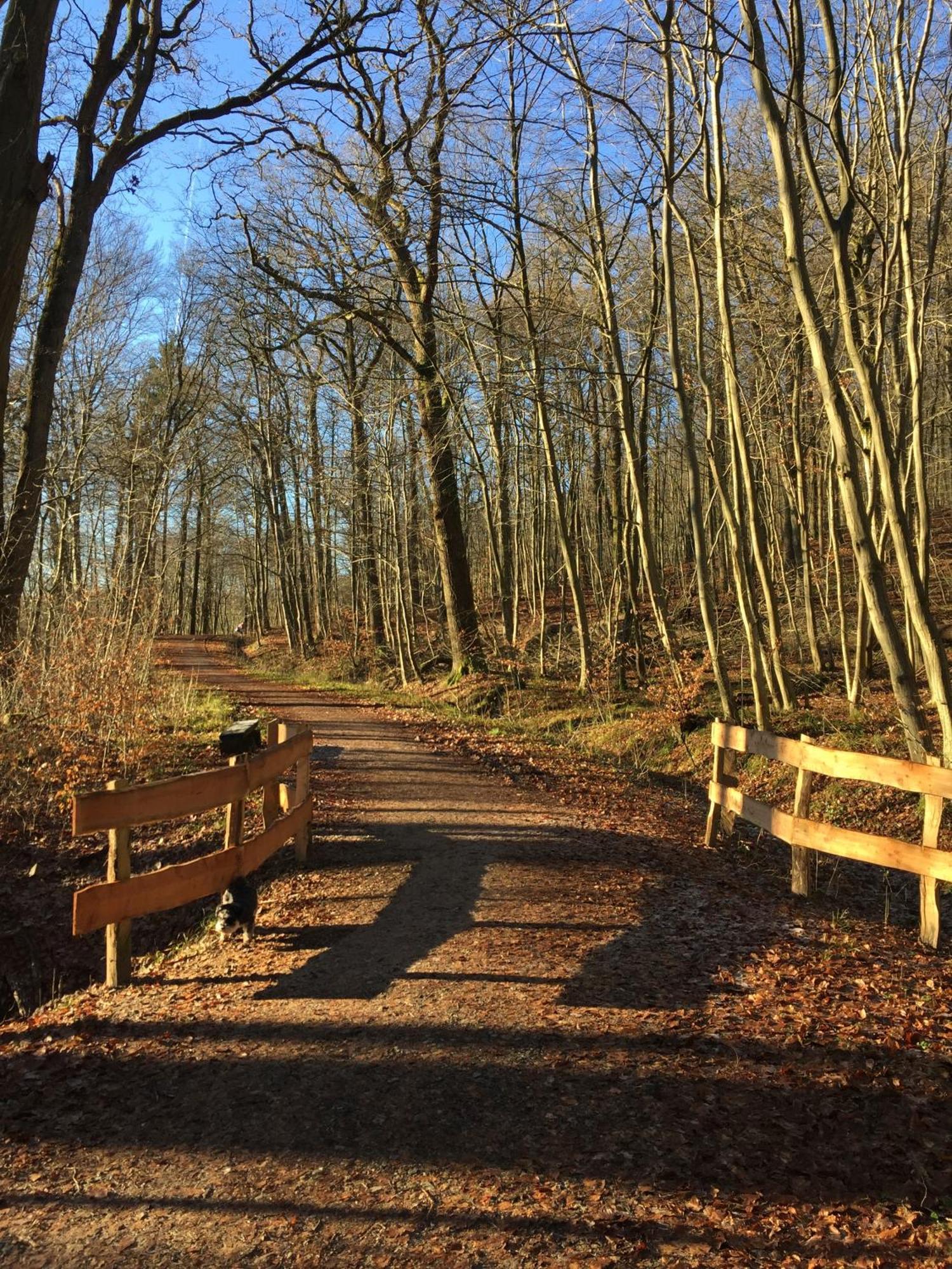 Apartmán Waldmuehle Šlesvik Exteriér fotografie